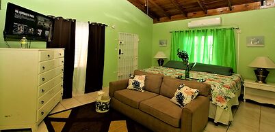 876 JA Oasis by Kingston Airport