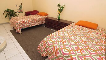 876 JA Oasis by Kingston Airport