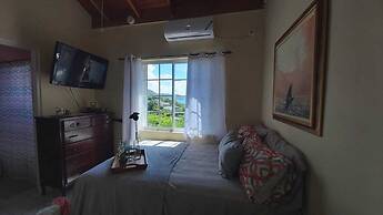 876 JA Oasis by Kingston Airport