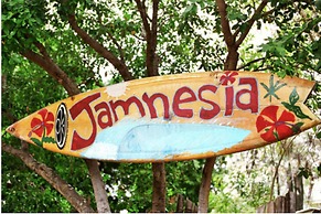 876 JA Oasis by Kingston Airport