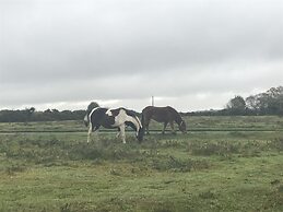 Bungalow on the South Coast & new Forest