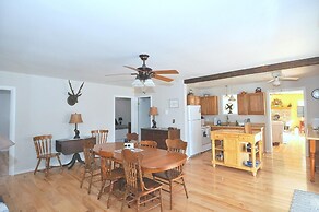 Bear Necessities -forget Your Worries!