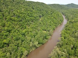 Bear Necessities -forget Your Worries!