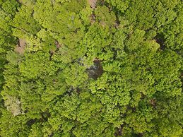 Bear Necessities -forget Your Worries!