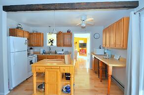 Bear Necessities -forget Your Worries!