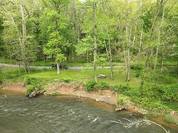 Bear Necessities -forget Your Worries!