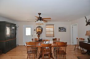 Bear Necessities -forget Your Worries!