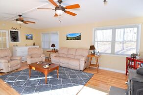 Bear Necessities -forget Your Worries!