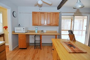 Bear Necessities -forget Your Worries!