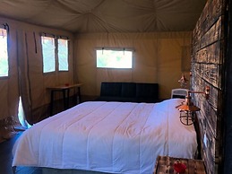 Vive Libre Travel Club