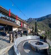 Vive Libre Travel Club