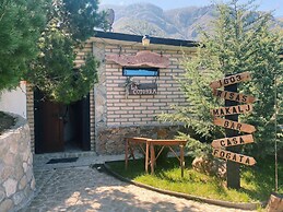 Vive Libre Travel Club