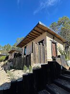 Vive Libre Travel Club