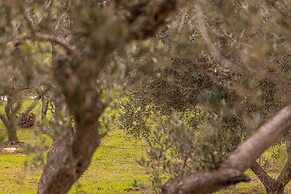 Villa V - Epoca Collection