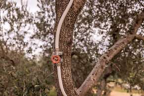 Villa V - Epoca Collection