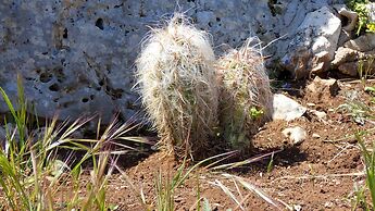 Villa Resta - Ampio Giardino e Splendida Vista Mare Panoramica