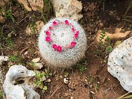 Villa Resta - Ampio Giardino e Splendida Vista Mare Panoramica