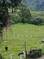 Café de Colores con balcon