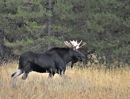 The Hideaway Hostel near Yellowstone
