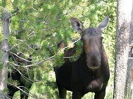 The Hideaway Hostel near Yellowstone