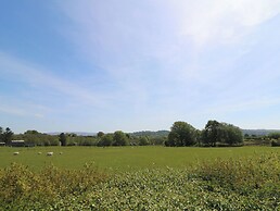 Brecknock Cheviot - The Sheepfold