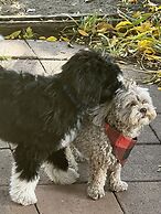 The Hearts Desire B & B