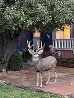 The Hearts Desire B & B