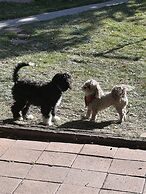 The Hearts Desire B & B