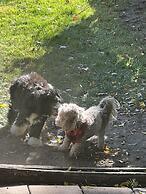 The Hearts Desire B & B