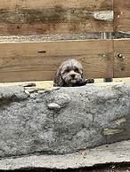 The Hearts Desire B & B