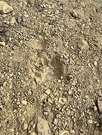 The Hearts Desire B & B