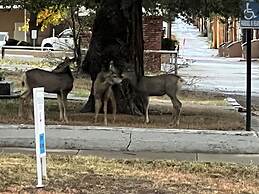 The Hearts Desire B & B