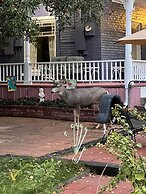 The Hearts Desire B & B