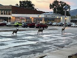 The Hearts Desire B & B