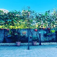 New batumi
