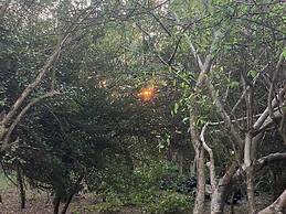 Tambo Marina Ecohostal - Hostel