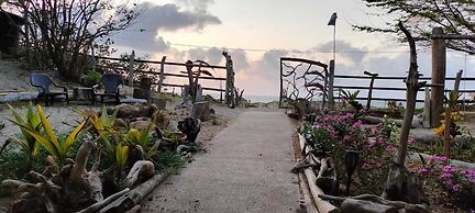 Tambo Marina Ecohostal - Hostel