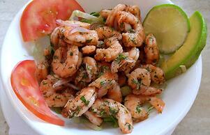 Tambo Marina Ecohostal - Hostel