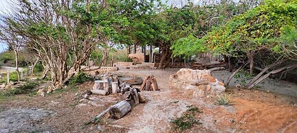 Tambo Marina Ecohostal - Hostel