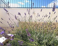 Luxury Beachfront Villa With Pool for two Families