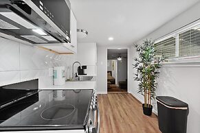 Stylish Studio Zilker Evonify