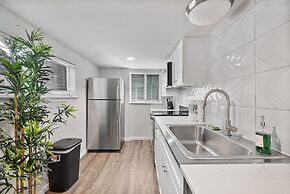 Stylish Studio Zilker Evonify