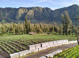 Bromo Seruni Guesthouse