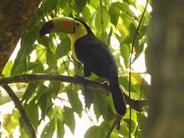 Pilgrim's Paradise Cabin 2