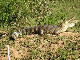 Pilgrim's Paradise Cabin 2