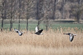 Your Harzhouse for Holidays