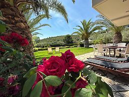 Escape to Paradise - Experience Luxury and Serenity at Villa Elina in 