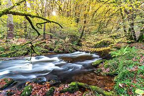 West Hollowcombe Farm Cottages - Full Si
