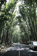 Virgin Island Resort - Restaurant & Spa