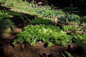 Mơ Stay Forest Resort